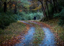 月染青川,探寻千年古镇的韵味与传奇