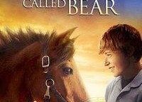 一匹叫做熊的马,一匹名叫熊的神奇马儿的故事