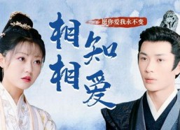 心动难抵,难以抗拒的情感漩涡