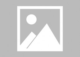 我的老婆是大佬