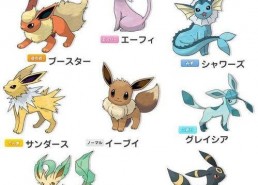 精灵宝可梦 进化,进化之旅，探寻神奇宝贝的奥秘与成长